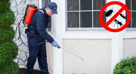 Dilovası Akrep İlaçlama böcek ilaçlama ve haşere kontrolü — ilaclama-tr.com